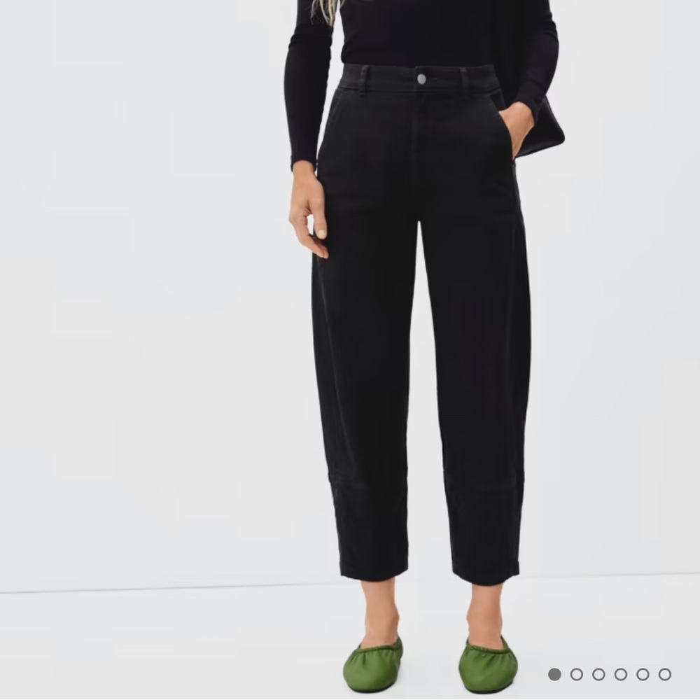 Everlane Utility Barrel Pant